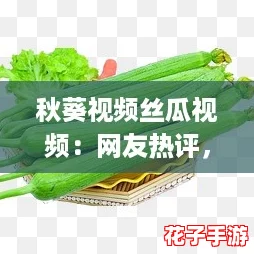 秋葵视频丝瓜视频：网友热评，夏日清凉必备美食分享，让你一尝成主厨！