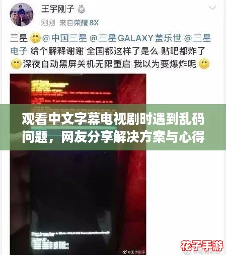 观看中文字幕电视剧时遇到乱码问题，网友分享解决方案与心得体会