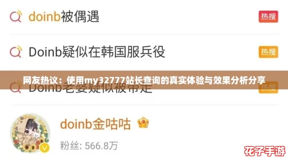 网友热议：使用my32777站长查询的真实体验与效果分析分享