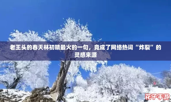 老王头的春天林初晴最火的一句，竟成了网络热词“炸裂”的灵感来源