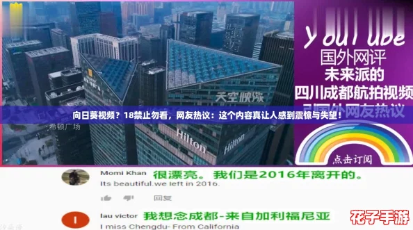 向日葵视频？18禁止勿看，网友热议：这个内容真让人感到震惊与失望！