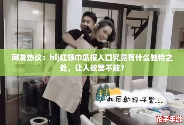 网友热议：hlj红领巾瓜报入口究竟有什么独特之处，让人欲罢不能？
