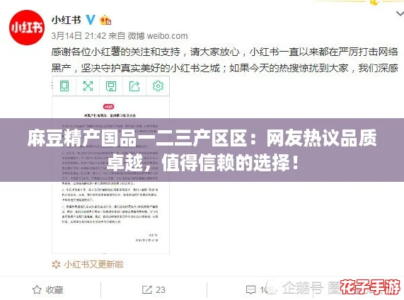 麻豆精产国品一二三产区区：网友热议品质卓越，值得信赖的选择！