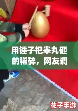 用锤子把睾丸砸的稀碎，网友调侃：这真是对勇气和愚蠢的极致考验！