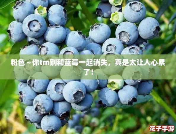 粉色～你tm别和蓝莓一起消失，真是太让人心累了！