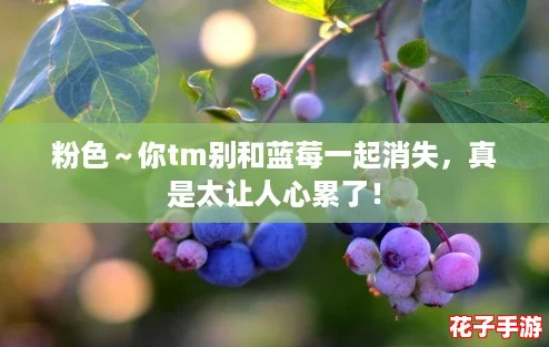 粉色～你tm别和蓝莓一起消失，真是太让人心累了！
