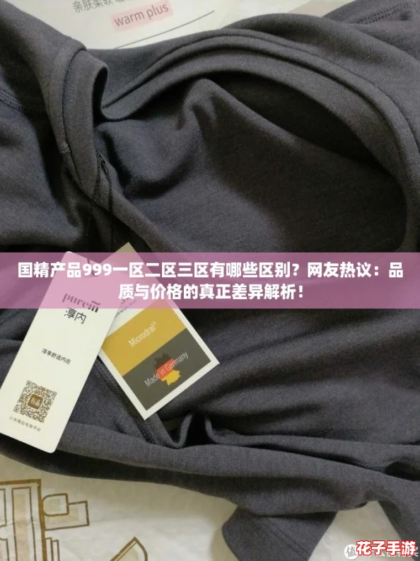 国精产品999一区二区三区有哪些区别？网友热议：品质与价格的真正差异解析！