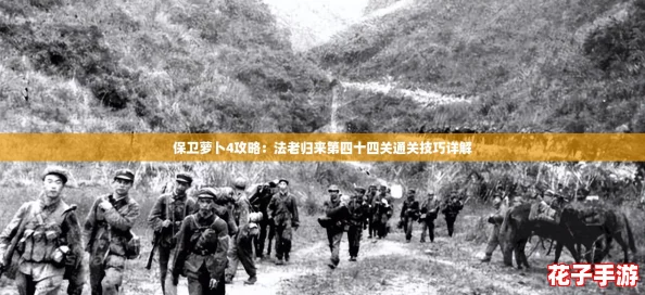 保卫萝卜4攻略：法老归来第四十四关通关技巧详解