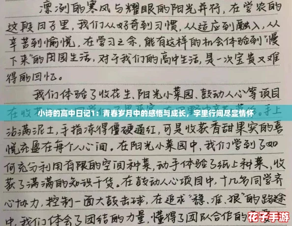 小诗的高中日记1：青春岁月中的感悟与成长，字里行间尽显情怀