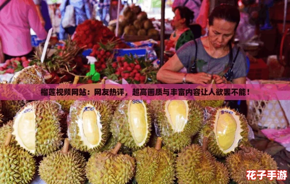 榴莲视频网站：网友热评，超高画质与丰富内容让人欲罢不能！