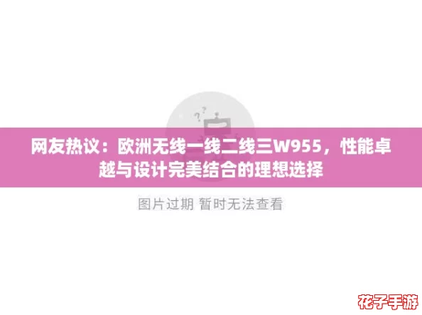 网友热议：欧洲无线一线二线三W955，性能卓越与设计完美结合的理想选择