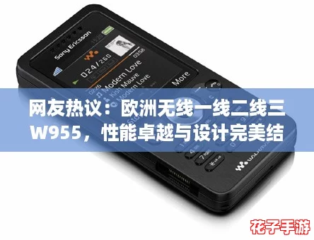网友热议：欧洲无线一线二线三W955，性能卓越与设计完美结合的理想选择