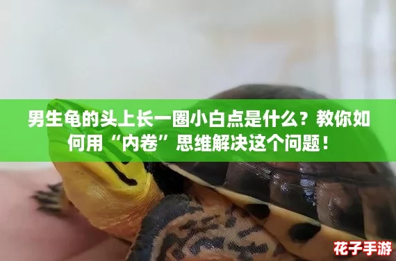 男生龟的头上长一圈小白点是什么？教你如何用“内卷”思维解决这个问题！