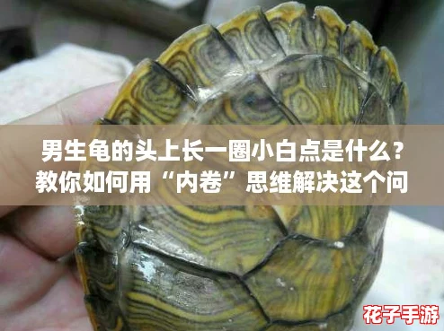男生龟的头上长一圈小白点是什么?教你如何用“内卷”思维解决这个问题! 男生龟的头上长一圈小白点是什么?教你如何用“内卷”思维解决这个问题!