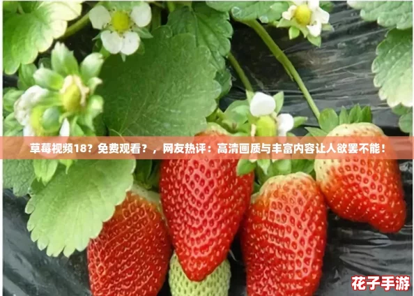 草莓视频18？免费观看？，网友热评：高清画质与丰富内容让人欲罢不能！