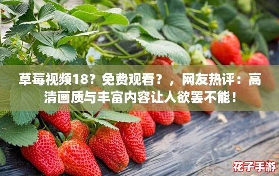 草莓视频18?免费观看?,网友热评:高清画质与丰富内容让人欲罢不能! 草莓视频18?免费观看?,网友热评:高清画质与丰富内容让人欲罢不能!