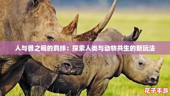 人与兽之间的羁绊：探索人类与动物共生的新玩法
