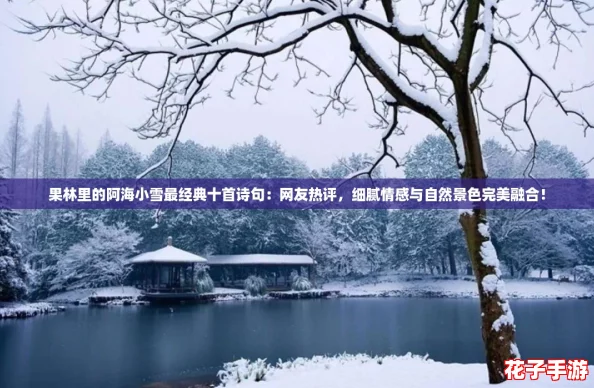 果林里的阿海小雪最经典十首诗句：网友热评，细腻情感与自然景色完美融合！