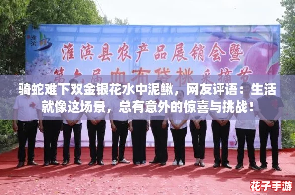 骑蛇难下双金银花水中泥鳅，网友评语：生活就像这场景，总有意外的惊喜与挑战！