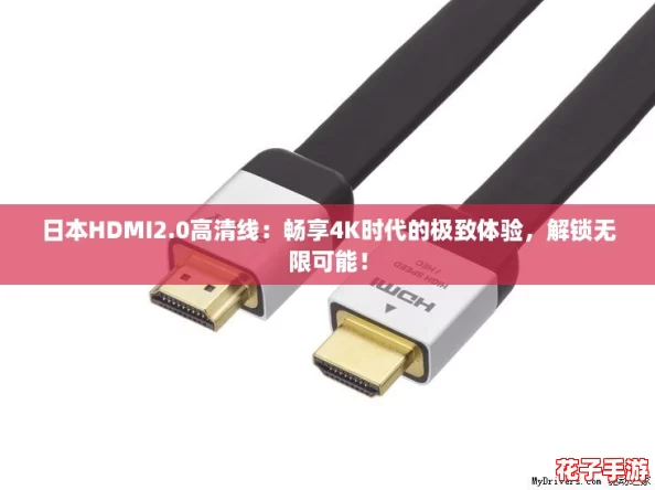 日本HDMI2.0高清线：畅享4K时代的极致体验，解锁无限可能！