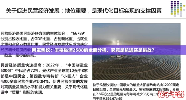 网友热议：丰裕纵满2588的全面分析，究竟是机遇还是挑战？