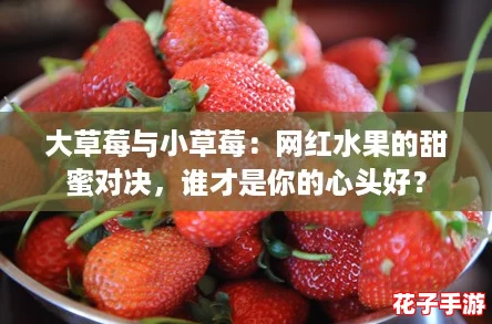 大草莓与小草莓：网红水果的甜蜜对决，谁才是你的心头好？