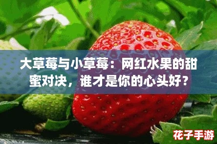 大草莓与小草莓：网红水果的甜蜜对决，谁才是你的心头好？
