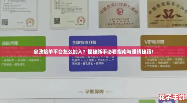 家政接单平台怎么加入？揭秘新手必看指南与赚钱秘籍！