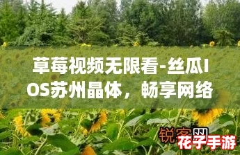 草莓视频无限看-丝瓜IOS苏州晶体，畅享网络热潮的极致体验