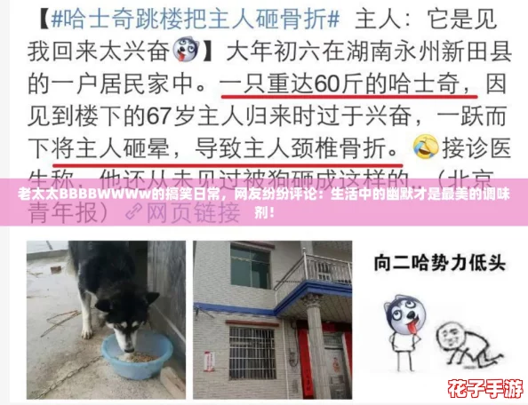 老太太BBBBWWWw的搞笑日常,网友纷纷评论:生活中的幽默才是最美的调味剂! 老太太BBBBWWWw的搞笑日常,网友纷纷评论:生活中的幽默才是最美的调味剂!