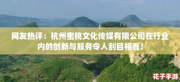 网友热评：杭州蜜桃文化传媒有限公司在行业内的创新与服务令人刮目相看！