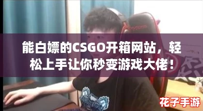 能白嫖的CSGO开箱网站，轻松上手让你秒变游戏大佬！