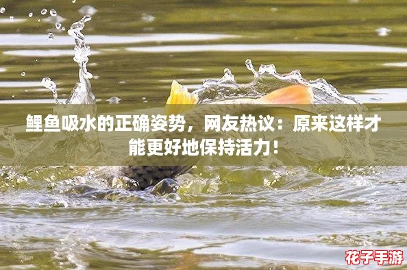 鲤鱼吸水的正确姿势，网友热议：原来这样才能更好地保持活力！
