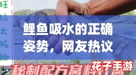鲤鱼吸水的正确姿势，网友热议：原来这样才能更好地保持活力！