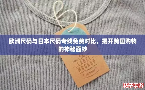 欧洲尺码与日本尺码专线免费对比,揭开跨国购物的神秘面纱 欧洲尺码与日本尺码专线免费对比,揭开跨国购物的神秘面纱