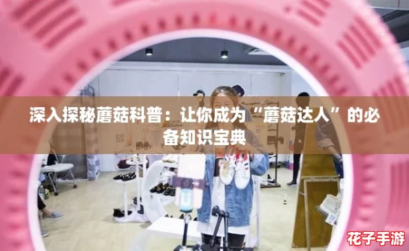 深入探秘蘑菇科普：让你成为“蘑菇达人”的必备知识宝典