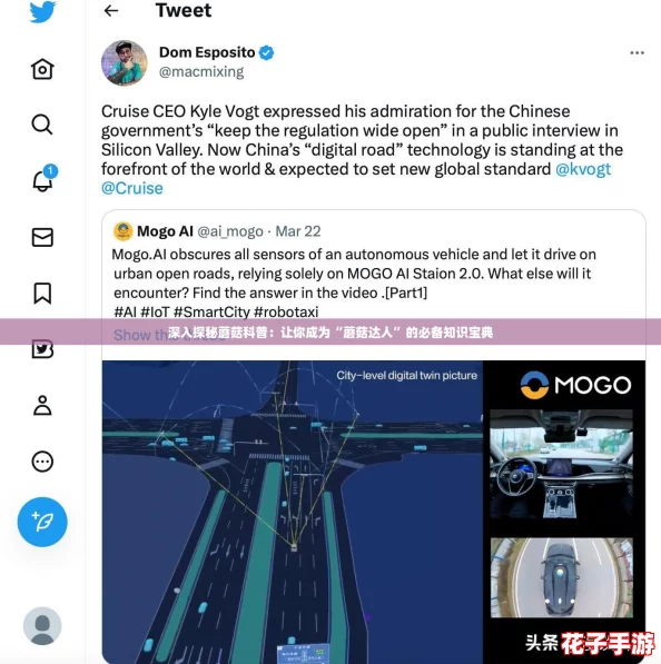 深入探秘蘑菇科普：让你成为“蘑菇达人”的必备知识宝典