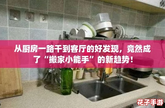 从厨房一路干到客厅的好发现，竟然成了“搬家小能手”的新趋势！