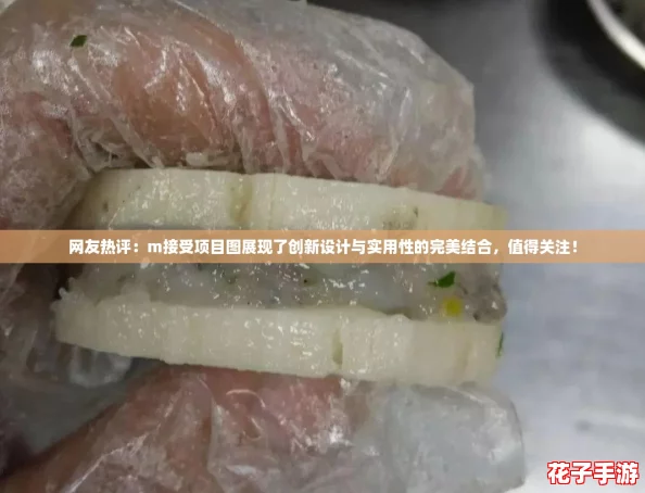 网友热评:m接受项目图展现了创新设计与实用性的完美结合,值得关注! 网友热评:m接受项目图展现了创新设计与实用性的完美结合,值得关注!