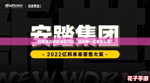 归龙潮与欲影潮品对比，精选哪一款更合心意？
