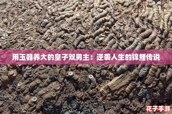 用玉器养大的皇子双男主：逆袭人生的锦鲤传说