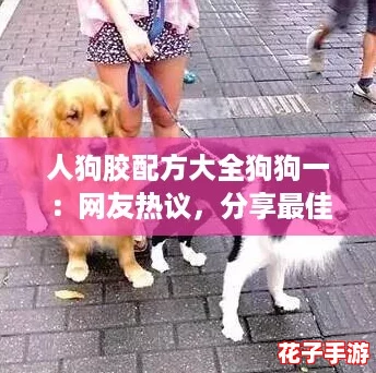 人狗胶配方大全狗狗一：网友热议，分享最佳自制食谱与营养秘诀！
