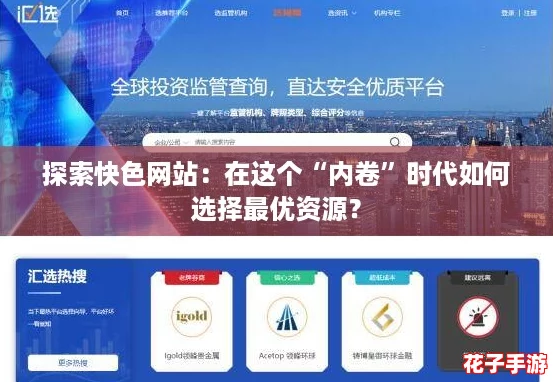 探索快色网站：在这个“内卷”时代如何选择最优资源？