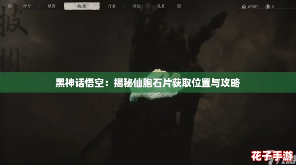 黑神话悟空：揭秘仙胞石片获取位置与攻略