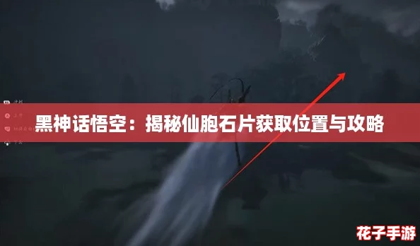 黑神话悟空:揭秘仙胞石片获取位置与攻略 黑神话悟空:揭秘仙胞石片获取位置与攻略