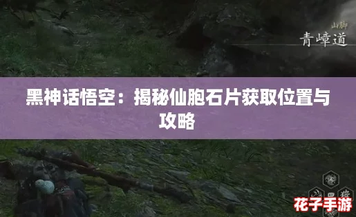 黑神话悟空:揭秘仙胞石片获取位置与攻略 黑神话悟空:揭秘仙胞石片获取位置与攻略
