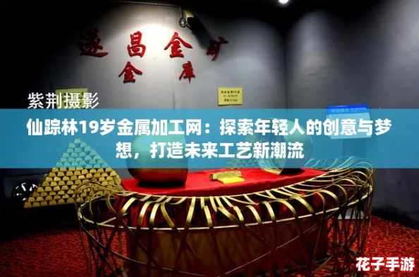 仙踪林19岁金属加工网：探索年轻人的创意与梦想，打造未来工艺新潮流