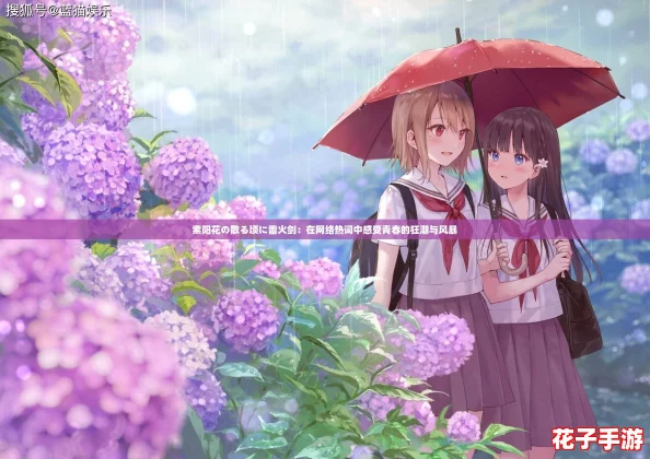 紫阳花の散る顷に雷火剑：在网络热词中感受青春的狂潮与风暴