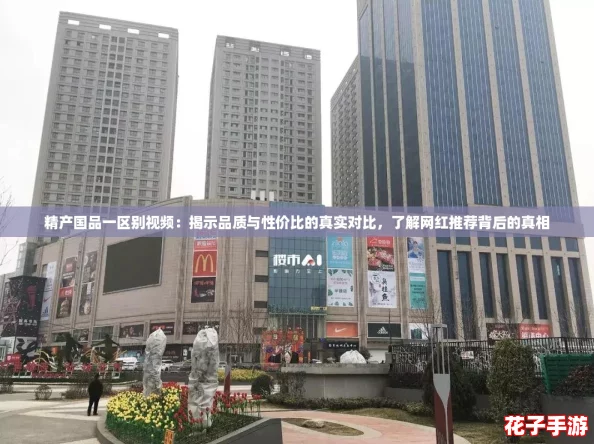 精产国品一区别视频：揭示品质与性价比的真实对比，了解网红推荐背后的真相