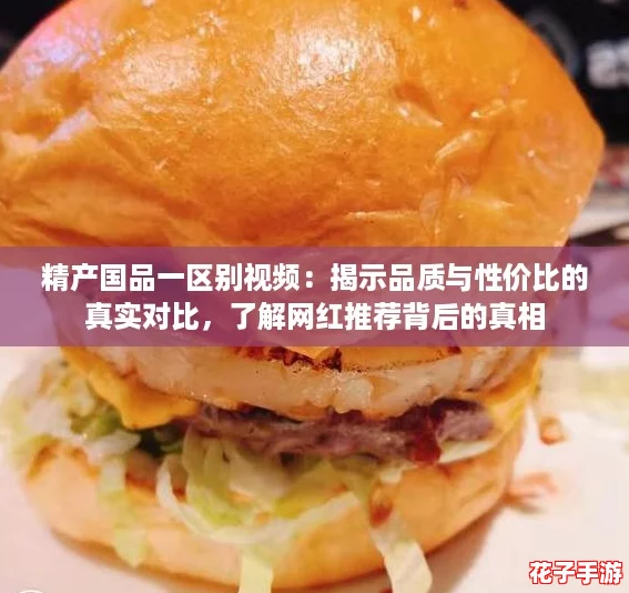 精产国品一区别视频：揭示品质与性价比的真实对比，了解网红推荐背后的真相